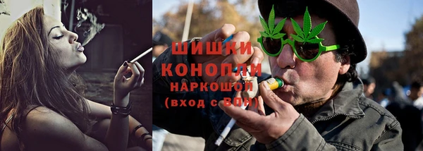 шишки Елизово