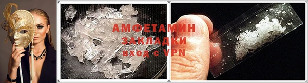 шишки Елизово
