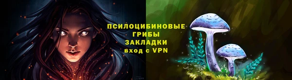 шишки Елизово
