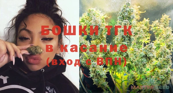 шишки Елизово