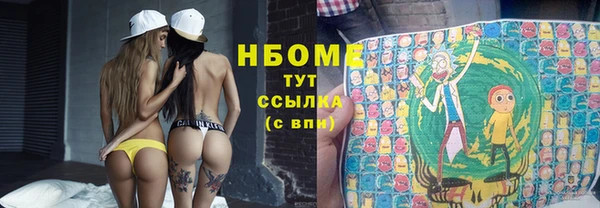 шишки Елизово