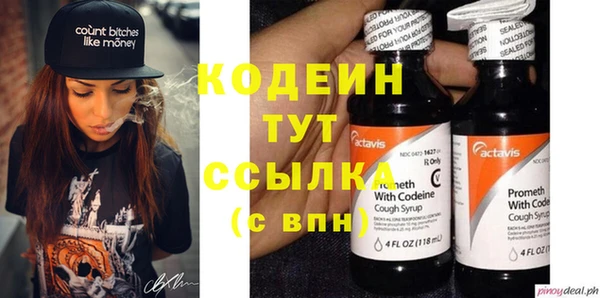 шишки Елизово