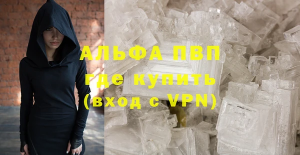 шишки Елизово